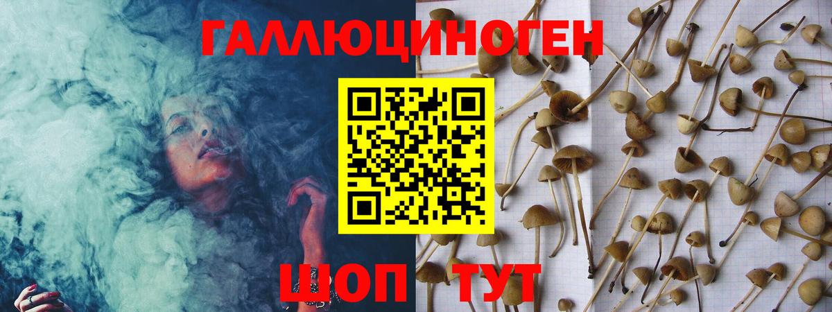 Псилоцибиновые грибы Psilocybine cubensis Балашиха